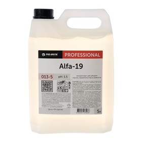 Альфа-19 5 л Средство для уборки послестроительных работ