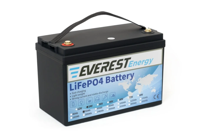 Аккумулятор тяговый литиевый 24V 54Ah ESB LFP24V50